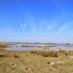 Bull Island
