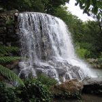 iveagh gardens