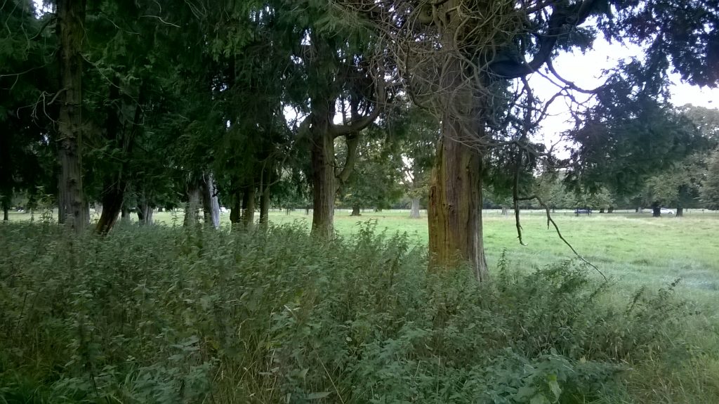 Phoenix Park